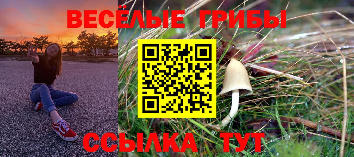 Галлюциногенные грибы Magic Shrooms  Вход с VPN  Биробиджан  Псилоцибиновые грибы MAGIC MUSHROOMS 